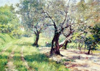 William Merritt Chase : The Olive Grove